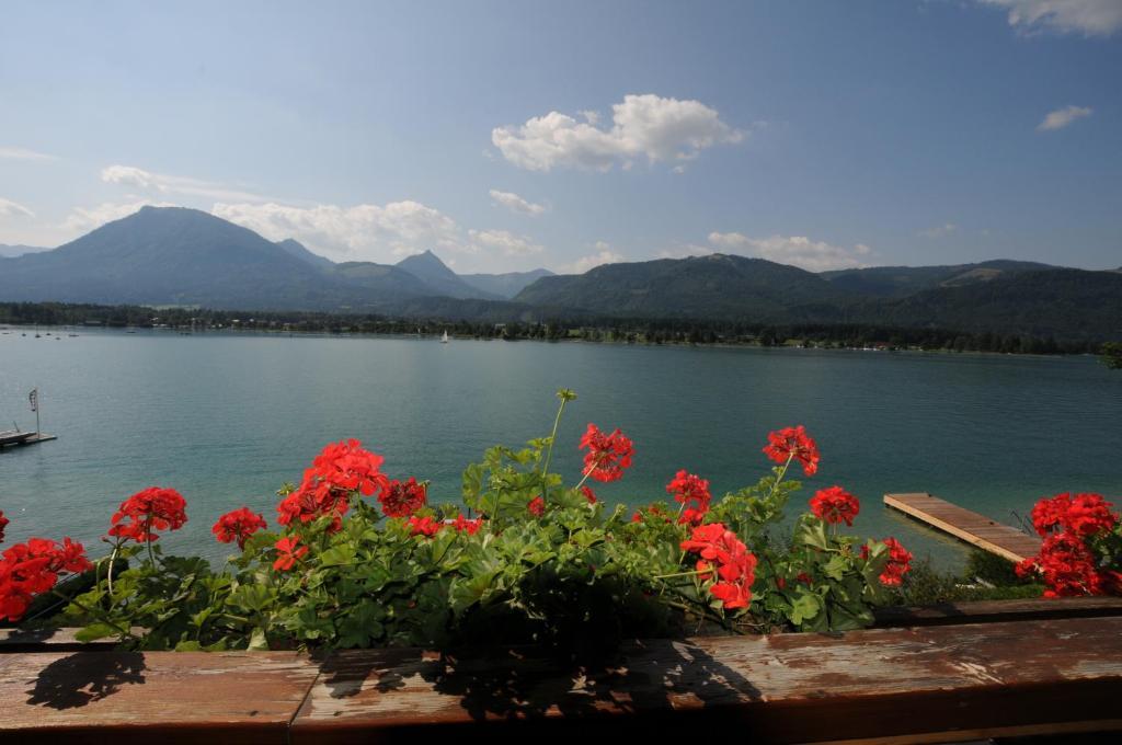 Hotel Garni Buchinger Sankt Wolfgang im Salzkammergut Bagian luar foto